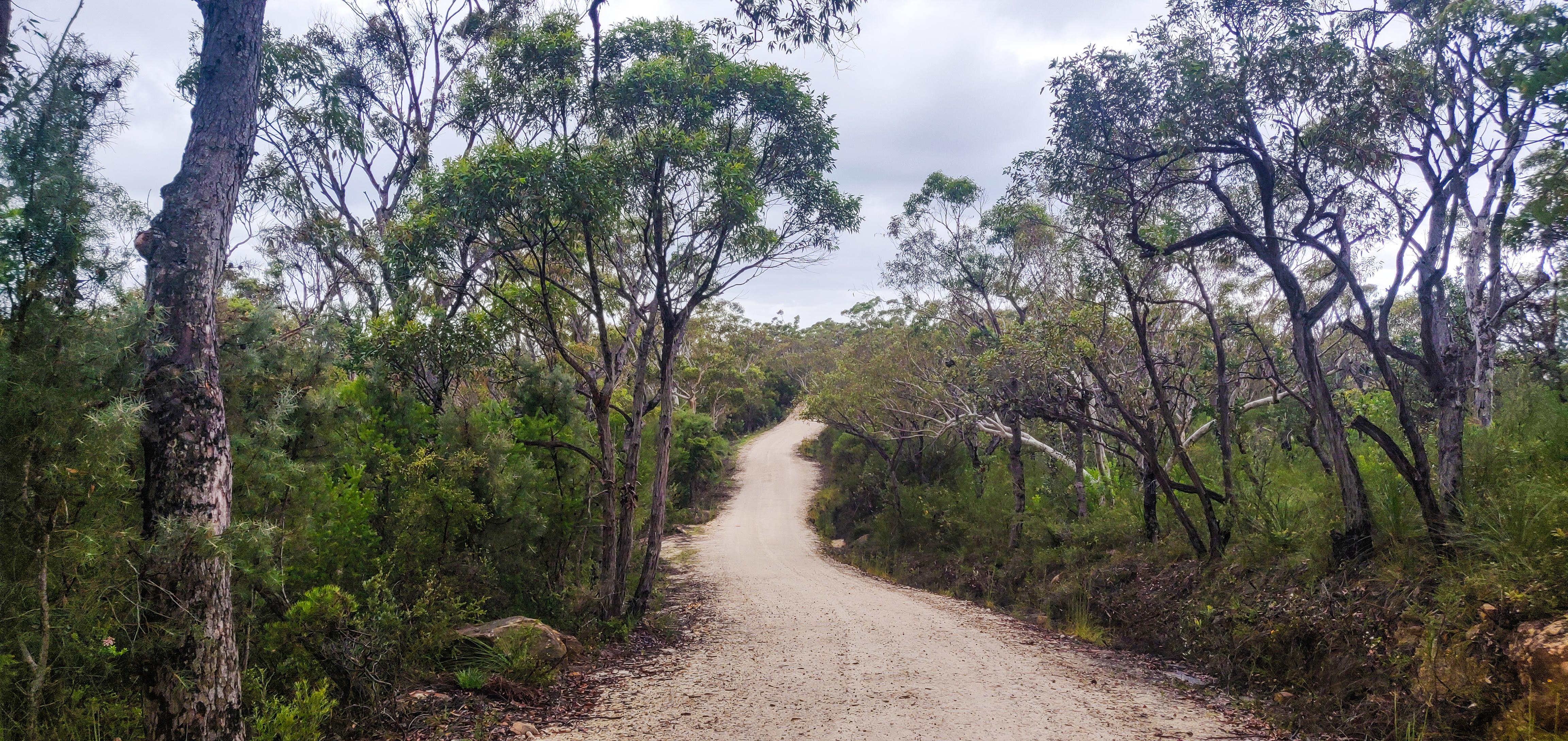 The Basin Trail